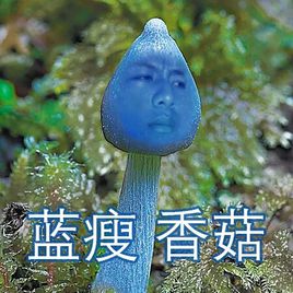 蓝瘦 香菇是什么梗